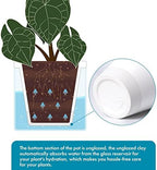 D'vine Dev Self-Watering White Terracotta Planter Pot, 8 in, 37-X-C-2 - Image 4