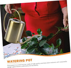 Stainless Steel Watering Can 2000ml Long Spout for Gardening - Image 3