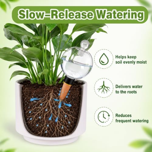 17oz Extra Large Self Watering Globes - Plant Watering Globes, Plastic Water Bulbs, Indoor/Outdoor Plant Watering Devices for Automatic Drip Irrigation, 4 Pack - Image 5
