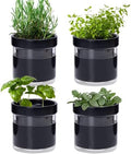 Phoenix Vine 4 Inch Self Watering Planter Pot, Black Terracotta Clay Pot with Glass Reservoir for Indoor Plants, Herbs, Flowers, Set of 4, 52-C-E-4 by Phoenix+Vine