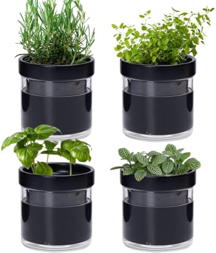 Phoenix Vine 4 Inch Self Watering Planter Pot, Black Terracotta Clay Pot with Glass Reservoir for Indoor Plants, Herbs, Flowers, Set of 4, 52-C-E-4 by Phoenix+Vine