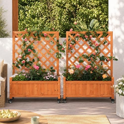 2 Trellis Raised Garden Bed with Wheels, Lattice Privacy Screen by ScienGardenJoysofgardening