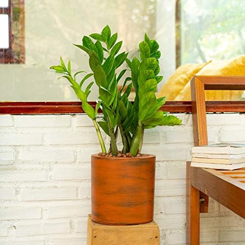 7.8 in Self-Watering Planters, 8 Inch Square Pot, Dark Brown by Noeko