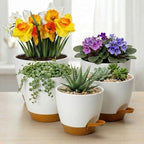 Remerry 15 Pcs 7/6.5/6/ 5.5/5 Inch Self Watering Planters with Drainage Hole Plant Pots Plastic Flower Pots Self Watering Pot and Saucer Reservoir for Garden Plant Flower (White) - Image 4