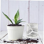 Mikikit 2sets Water Plants While Away Self Irrigation Cotton Rope Garden Watering System Drip Watering Supply - Image 6