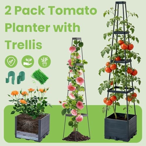 Lancisism 2 Pack Raised Garden Bed Tomato Planter with Trellis - 57" Self Watering Planter Box for Climbing Plants Vegetables Flowers - Garden Tomato Pots with Cage for Patio Greenhouse Indoor Outdoor - Image 2