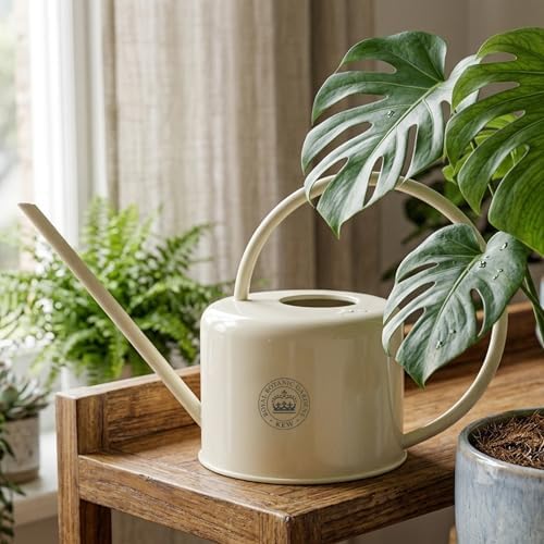 Spear & Jackson Kew Gardens Urban Oasis Collection 1LWCKEWC 1 Litre Compact Watering Can - 1L - Rich Cream - Image 4