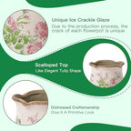 Ceramic-Planters-for-Indoor-Plants with Saucer, 6 inch Vintage Ice Crack Glaze Plant Pots with Drainage Holes, Decorative Flower Pots for Outdoor Garden Home Decor, Tuscan Pot for Plant - Image 5