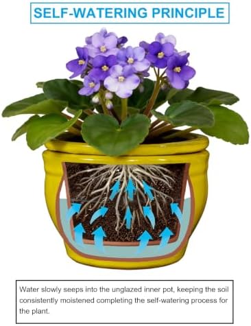Self Watering Pot for African Violets Indoor Outdoor Plants, 6 inch, Yellow - Image 5