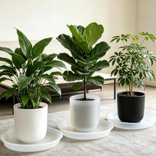 TITE 3 Pack Plant Saucer Heavy Large Planter Durable Thicker Plastic Plant Trays for Indoors and Outdoor,Plant Saucer Drip Trays (Transparent, 16 inch) - Image 4