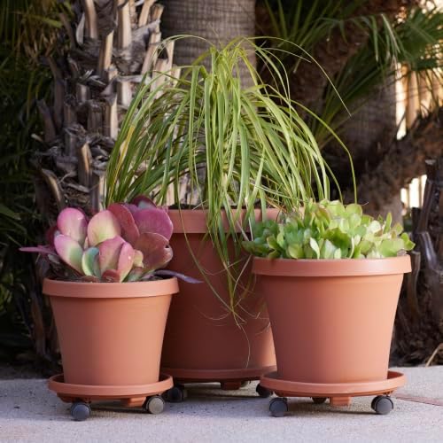 Bloem 14" Plastic Wheeled Plant Caddy, 100 lb Capacity, Terra Cotta, 2-Pack - Image 4