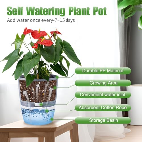Oliz 6" Self Watering Pots for Indoor Plants, 6pk Grey w/Drainage Saucers - Image 3
