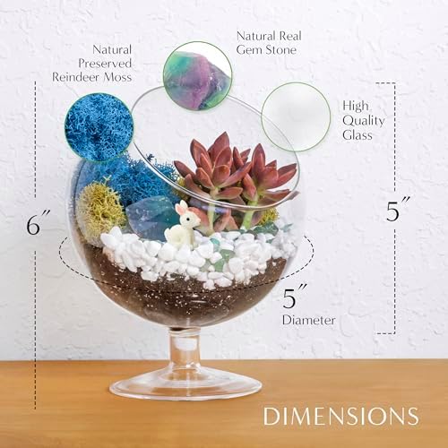 Creations by Nathalie DIY 6" Chalice Terrarium Kit Build Your Own Glass Terrarium for Adults & Teens, DIY Terrarium Kit with Live Moss, Crystals, Soil (Plant Not Included) - Image 4