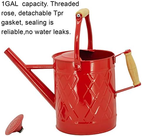 1 Gallon Red Metal Watering Can, Removable Spout - Image 3