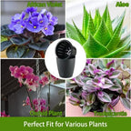 Planterhoma 6.7 Inch Self Watering Pots for Indoor Plants, 6 Packs African Violet Pots with Indicator, Black Wick Pot with Drainage Holes, Self Watering Planters for Orchid, Devil's Ivy, Grey - Image 3