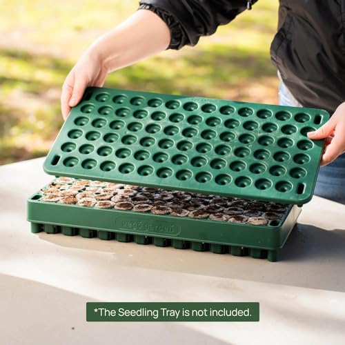 Vego garden 3-in-1 Plant & Pop Board Seedling Popper Tool, 10" x 20", Works Perfectly with Stackable Seedling Trays - Image 4