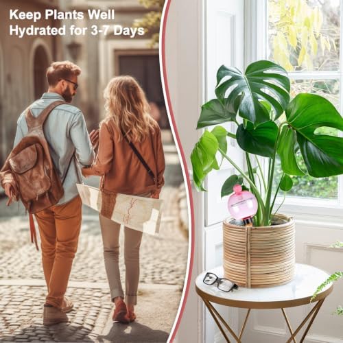 6 Pack Self Watering Globes 17oz Large Plant Watering Globes Top Fill, Self Water Planter Insert Indoor/Outdoor Plastic Water Bulbs Slow Release Terracotta for Plants, Pink - Image 4