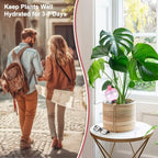 6 Pack Self Watering Globes 17oz Large Plant Watering Globes Top Fill, Self Water Planter Insert Indoor/Outdoor Plastic Water Bulbs Slow Release Terracotta for Plants, Pink - Image 4
