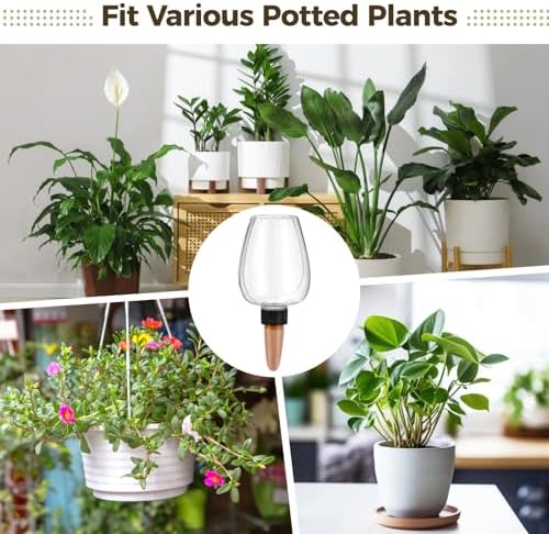 4 Pcs Watering Globes for Plants, 11.8 oz Clear Self Watering Bulbs with Slow Release Terracotta Spikes, Automatic Plant Waterer System, Irrigation Globes for Indoor Potted Plants - Image 4