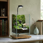Desktop Glass Plant Terrarium with Grow Light (5.9" x 5.9" x 9") & Bamboo Base, Enclosure Kit with Watering Bottle for Carnivorous Plants, Venus Flytrap, Moss & Betta Fish, Home Office Decor - Image 2