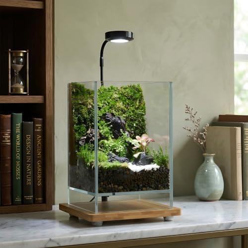 Desktop Glass Plant Terrarium with Grow Light (5.9" x 5.9" x 9") & Bamboo Base, Enclosure Kit with Watering Bottle for Carnivorous Plants, Venus Flytrap, Moss & Betta Fish, Home Office Decor - Image 2