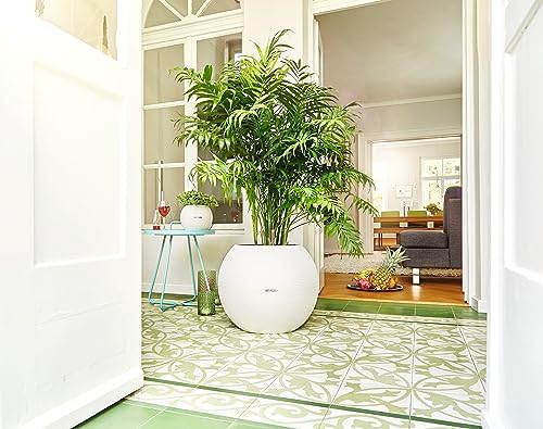 Lechuza Puro Color 50 White, Self-Watering Large Round Planter, D19.7 H15.4 in - Image 5
