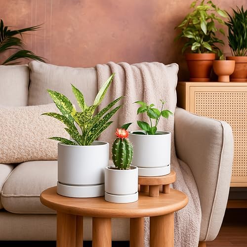 Phoenix Vine 4 Inch Planter Pot with Drainage Hole & Saucer, Deep Water Catch Tray, Straight Cylindrical Round Pot for Plants, Matte White, Pack of 6, 23-B-R-6 - Image 7