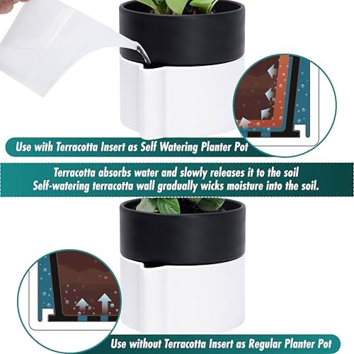 8 Inch Self-Watering Planter Pot with Terracotta Insert, Deep Water Reservoir, and Ceramic-Alike BPA-Free Plastic Planter Pot for Plant, Modern Planter for Houseplants, White/Black, 53-B-T-4 - Image 3