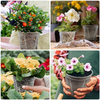 10.6" Clear Plant Nursery Pots with Drainage Plastic Orchid Pots 10 Pack - Image 6