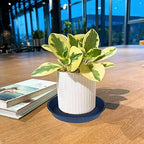 2 Pack of 18 19 inch Plant Saucer Drip Tray (16.6 inch Base), Heavy Duty Deep Plant Saucers for Pots, Plastic Flower Planter Water Trays for Indoors Outdoor (19", Blue) - Image 7