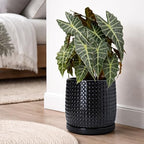 D'vine Dev Beaded Ceramic Pot with Saucer, 10 in, Glossy Black, 27-C-P-2 - Image 6