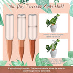SiliFine 3 Sets Terracotta Watering Spikes,Blue Clear Brown and Terracotta - Image 3
