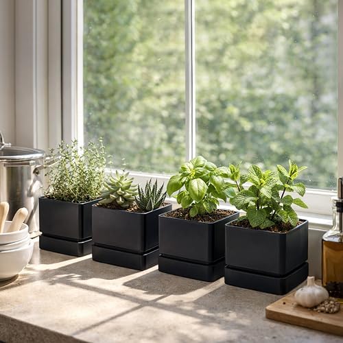 D'vine Dev 4-Pack Plastic Herb Planter Pots, 6 in, Black, 76-Y-B4-2 - Image 2