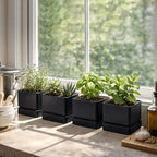 D'vine Dev 4-Pack Plastic Herb Planter Pots, 6 in, Black, 76-Y-B4-2 - Image 2