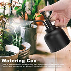 Stainless Steel Plant Mister Spray Bottle 10oz/300ml Mini Watering Can for Indoor Plants, Garden Small Watering Can for Garden, Plants, Cleaning, Black - Image 5
