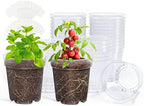 homenote 5 Inch Clear Nursery Pots with Drainage Holes for Plants (30 Pcs) by HOMENOTE