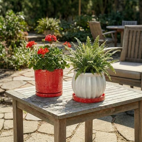 Eightpot 2 Pack Plant Plates to Catch Water, Plant Trays for Pots Indoor Outdoors, 7.5 Inch Plants Water Catcher Tray, Round Flower Pot Saucers, Modern Decorative Dishes to Catch Water, Red - Image 7