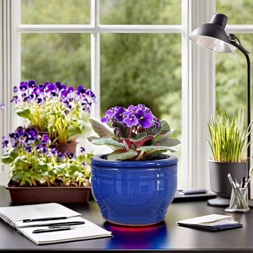 African Violet Pots Self Watering Blue 6 inch - Image 5
