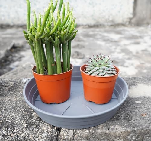 LWALRS Plant Saucer 14 Inch 4 Pack 6 8 10 12 14 16 18 20 25, Plastic Plant Trays for Pots，Extra-Deep Plant Water Dray Tray, Bird Bath Bowl, Heavy Flower Plant Saucers Indoors and Outdoor No Holes - Image 4