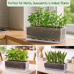 D'vine Dev 2-Pack Rectangular Planters, 12 x 4.5 in, Clear, 76-X-D-2 - Image 5