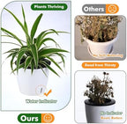 Planterhoma 5 Inch Self Watering Pots for Indoor Plants, 12 Packs Self Watering Planters for Orchid, Spider Plant, Devil's Ivy & African Violet, Water Indicator & Black Wick Pots, White/Black - Image 2