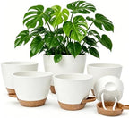 Plant Pots for Indoor 9/8/7/6.5/6/5 Inch, Self Watering Planter Pots with Drainage Holes and Saucers, 6Pcs Plastic Flower Pots for Indoor & Outdoor Plants（White） by Unknown