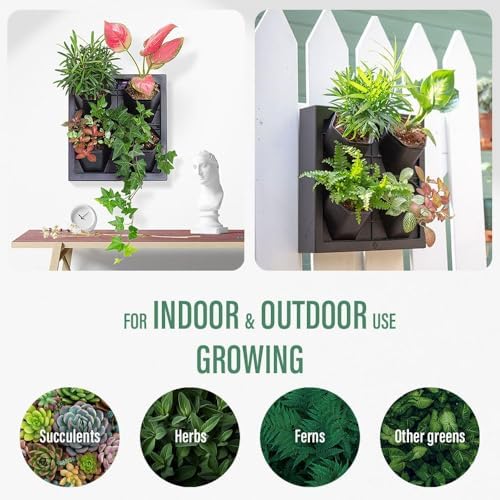 Wall-Mounted Planters Indoor, Living Wall Planter with 4 Pots - Vertical Planter Wall & Hanging Planter for Home, Office, Balcony or Shop No Assembly Required (Black) - Image 6