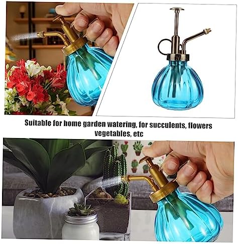 Vintage Glass Watering Bottle 2 Pack for Plants and Flowers - Image 7
