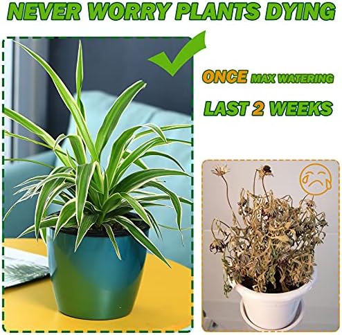 Planterhoma 6.7 Inch Self Watering Pots for Indoor Plants, 6 Packs African Violet Pots, Black Wick Pot with Drainage Holes, Self Watering Planters for Orchid, Devil's Ivy, Silver/Blue/Rose Gold - Image 4