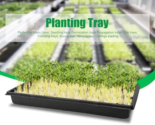 RooTrimmer 10 Pack 1020 Trays, Extra Thick Heavy Duty Seed Starting Trays - No Holes, No Leak, Reusable Propagation Flats for Microgreens, Seedlings, Plant Germination, Fodder and Transplant - Image 3