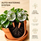 4Pack 26 Oz Extra Large Plant Self Watering Globes to 3 Weeks - Image 3