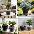 10 Pack 8 Inch Black Nursery Pots with Drainage Holes and Saucers - Image 6