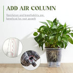 Wonderjune Self Watering Planter, 8.27'', Clear, 6 Pcs - Image 4
