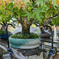 Garden Drip Irrigation System for Potted Plants, with 20 cm Bendable Tubing by Unknown